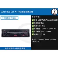 在飛比找蝦皮購物優惠-『SONY索尼』 DSX-A110U 無碟音樂主機