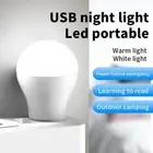 USB Plug Lamp 5V USB Small Book Lamp White/Warm Light for Power Outage Emergency