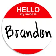 Hello My Name Is Brandon - Circle Sticker Decal 3 Inch - Customizable Nametag