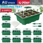 10 Set 12 Hole Plant Seeds Grow Box Propagation Nursery Seedling Starter Tray