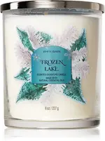 Bath & Body Works Frozen Lake scented candle 227 g