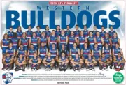 Western bulldogs Team poster, AFL football, Geelong cats, pies, swans,crows book