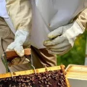 1 Pair Anti-sting Anti-bee Gloves Professional Beehive Tools Beekeeping Tools