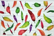 SET OF 3 SAME PLASTIC PLACEMATS,12" x 17", COLORFUL SHIPLAP & PEPPERS, HL