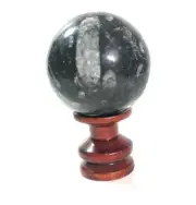 Beautiful Orthoceras Fossil Sphere and Lacquer Wood Stand