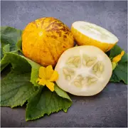 Cucumber - Lemon seeds