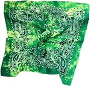 [Yardenfun] Unisex Fashion Scarves 6 Pack Paisley Bandanas Hiphop Headband Soft Breathable Headscarf Square Scarves for Men Women