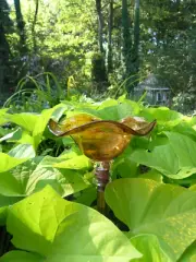 Hand Blown Glass Butterfly Feeder/Mini Bird Bath - Made in USA - 8 Color Choices