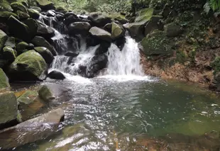 薩拉皮基亞塔馬生態小屋旅館 