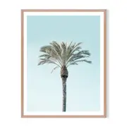 Perfect Palm Framed Printed Wall Art - Timber