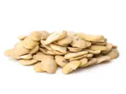Fava Beans Peeled - 8 Pounds - Bulk Dried Long Shelf-Life Storage Food Non-GMO