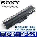 SONY BPS21 原廠電池 SR130NB SR13GN/B SR13GN/P SR13GN/S SR140E/S