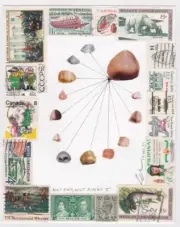 David Greenberger collage drawing "Not Eno, Not Ringo #5" 2020 mail art