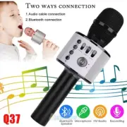 Wireless Bluetooth Handheld Karaoke Microphone Speaker KTV Player Kids Mic Party
