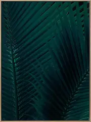 Shade I Canvas Art Print