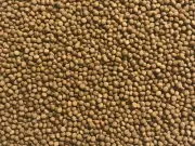 TANKED NATURAL Goldfish & Koi Pellets 10KG 2mm Floating Fish Food Pond Tank