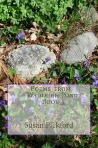 在飛比找博客來優惠-Poems from Wadleigh Pond Book 