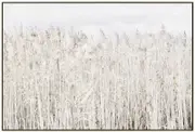 Pampas Grass Framed Canvas Painting Wall Art Picture 120x80cm
