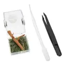 Feeding Box Jumping Spider Enclosure Jumping Spider Terrarium