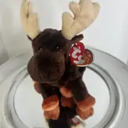 TY BEANIE BABY BABIES WITH TAG 2002 ZEUS MOOSE