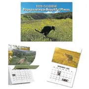 2025 Dogs Pooping In Beautiful Places Calendar Funny Dog Wall Calendar 12 Months Planner Christmas Gag Gift