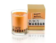 Scents of Nature by Tilley Soy Candle - Juicy Mandarin