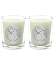 Qualitas Candles Grapefruit Two Scented Beeswax Candle Set