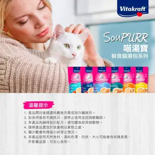 《Vitakraft》VITA 喵湯寶 鮮食貓餐包 湯包 副食罐 貓罐 湯罐 補水罐 貓罐頭 貓湯包 軟包【培菓寵物】