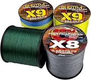 LLEIIshen Braided Fishing Line 8+1 Strands 300M Spinning PE Multifilamento Japa Carp Fly Sea Saltwater Weave Extreme Pesca/1768