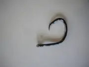 Hayabusa 187711-2/0 Circle Hook