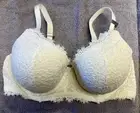 Aerie Real Power Plunge Push Up Eyelash Lace Bra -- SOFT MUSLIN 38DD