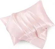 HommxJF Blush Pink Satin Pillowcase Standard Set of 2 with Envelope Closure，Blush Pink Silk Pillowcase for Hair and Skin (20x26)