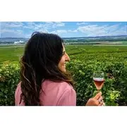 Save 10.00%! Champagne Small-Group Day Trip with Wine Tastings and Lunch