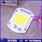 50W LEDs Floodlights COB Chips 220V Input Integrated Smart IC Drivers