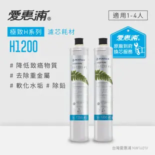 愛惠浦 EVERPURE H1200活性碳濾芯(到府更換)