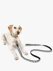 Art Dots S/M Leash
