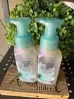 Bath & Body Works Foaming Hand Soap Lot Set of 2 Fresh Rainfall & Linen