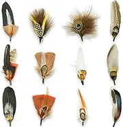 12Pcs Hat Feathers, Small Feathers for Hats, Natural Assorted Feathers Cowboy Hat Feather, Colorful Craft Feathers Hat Feathers for Cowboy Hats, Feathers Accessories DIY Decorations (12 Style)