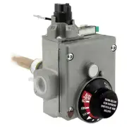 Rheem PROTECH Gas Valve Thermostat 7.6" x 6.95" Steel Plastic Silver Metallic