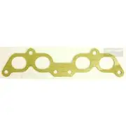 Platinum Extractor Gasket - HSM312