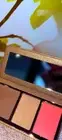 Anastasia Beverly Hills Face Blush Highlighter Bronzer Palette Pick 1 New In Box