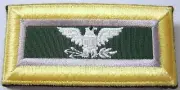 ARMY SHOULDER BOARDS PSYCHOLOGICAL OPERATIONS COLONEL PAIR FEMALE NIP