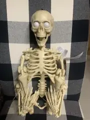 Posable Skeleton Animated LED Eyes 2.11 Ft Halloween Prop Decor 2024 See Video