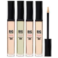 在飛比找Yahoo!奇摩拍賣優惠-[ETUDE HOUSE] Big Cover Skin F