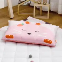 在飛比找博客來優惠-[韓國Hello HiZoo] 手工製可愛動物防蟎抗菌兒童枕