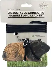 Small Animal Care Harness and Lead Set for Guinea Pig, Black