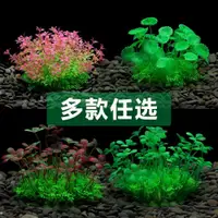 在飛比找ETMall東森購物網優惠-魚缸塑料水草布景擺件裝飾仿真水草水族箱水族造景假水草裝飾假山