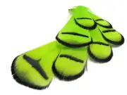 1 Dozen - Lime Green Lady Amherst Pheasant tippet Feathers Jewelry Fly Tying