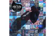Pink Foyd The Best Of Pink Floyd: A Foot In The Door Vinyl Album