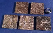 TURRITELLA / ELIMIA ACCENT TILE 2" X 2" - CUSTOM CUT - ONE OF A KIND